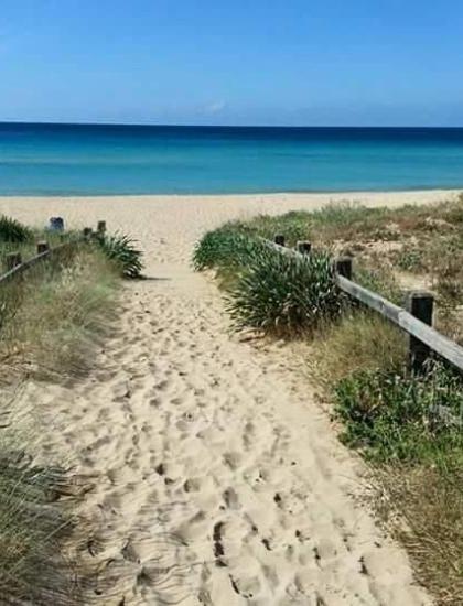 Sentiero sabbioso verso una spiaggia tranquilla e mare azzurro.